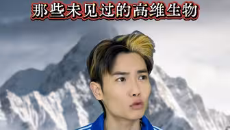 遇到的那些高维生物…