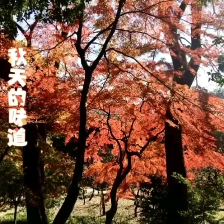 [图]秋天的味道