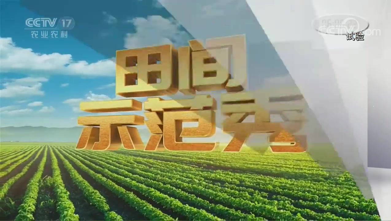 cctv7农广天地鸡养殖技术 