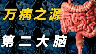 人类的第二个大脑？你的肠子到底有多重要？