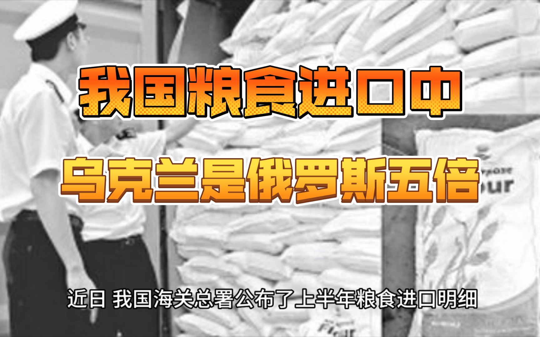 上半年我国粮食进口明细,乌克兰粮源为俄罗斯5倍,禁止碎米出口,印度丢失我国大米进口第一大来源国位置哔哩哔哩bilibili