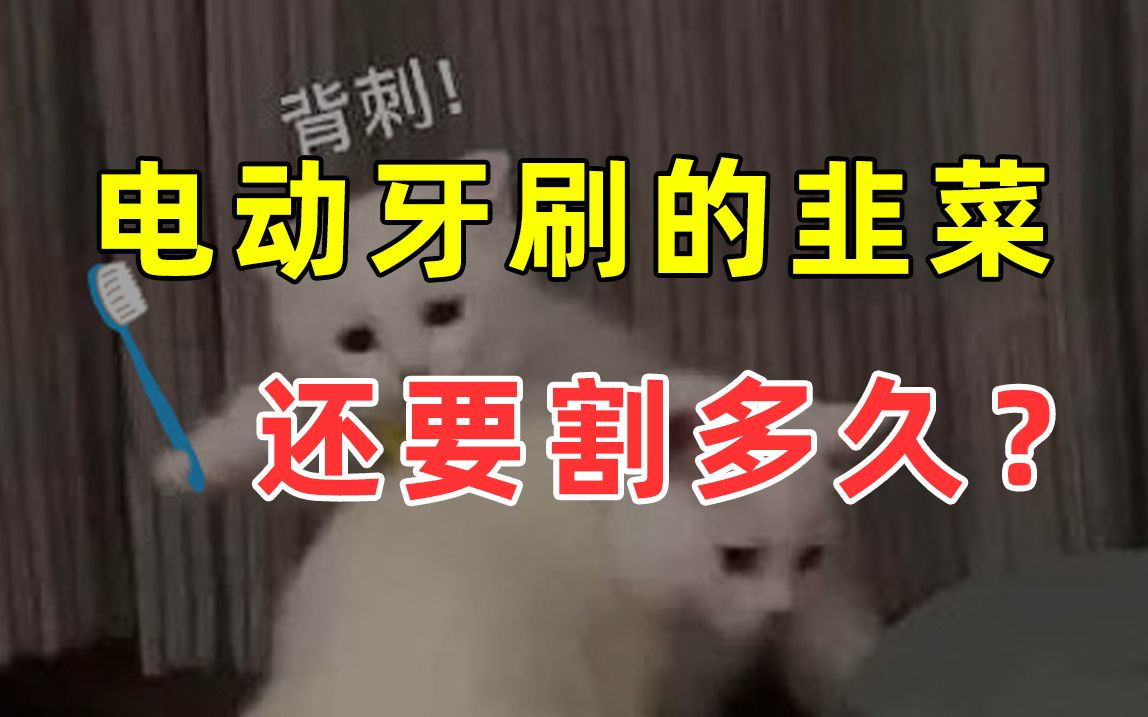 【半佛】电动牙刷的韭菜,还要割多久?哔哩哔哩bilibili