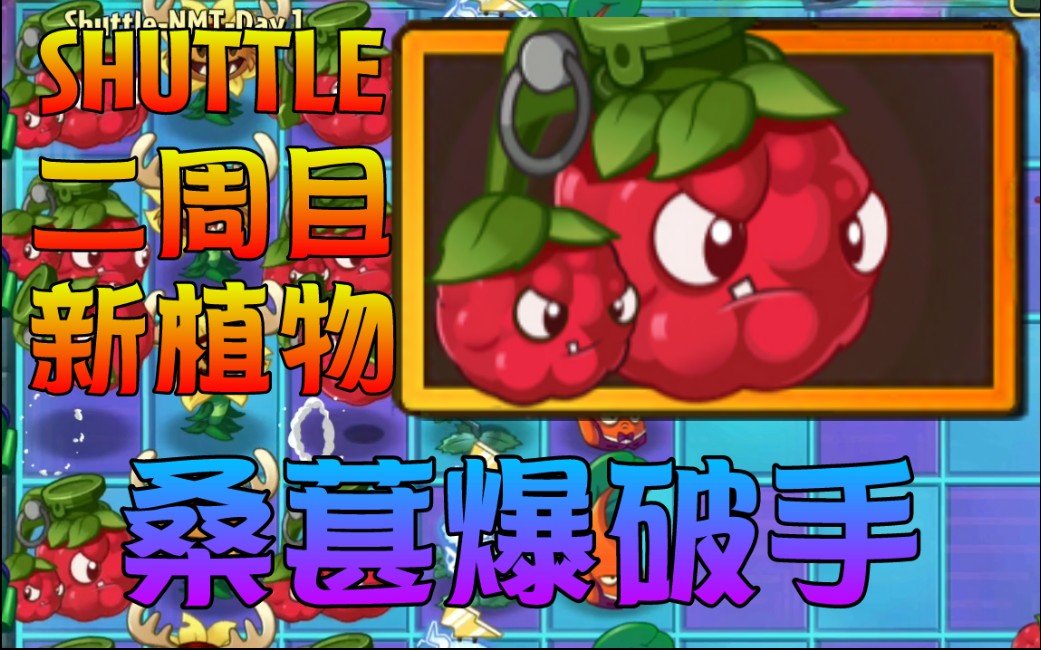 『shuttle系列』二周目新植物-桑葚爆破手
