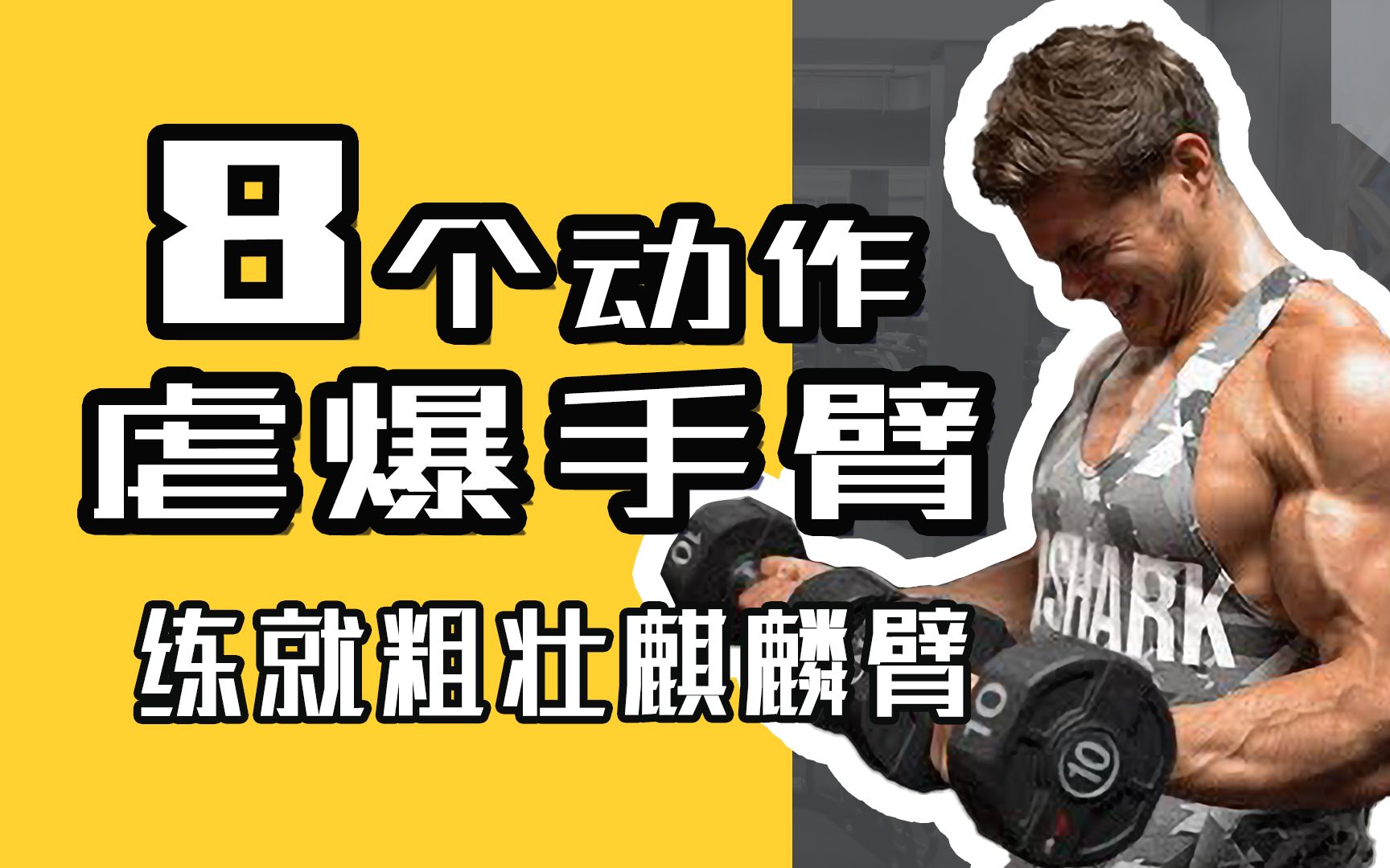 8个动作虐暴手臂肌肉,增加臂围 打造完美肌肉线条哔哩哔哩bilibili