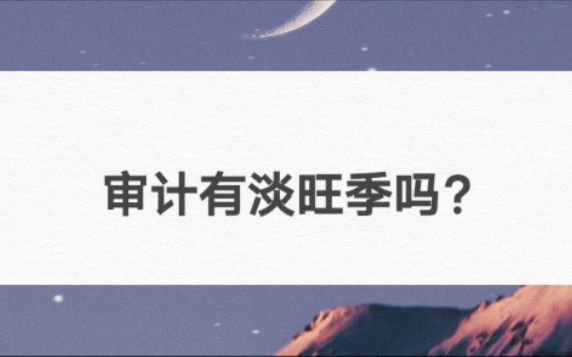 会计师事务所做审计有淡旺季吗?哔哩哔哩bilibili