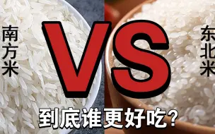 下载视频: 南方大米VS北方大米到底谁更好吃？东北米历史不足百年，为何能享誉全国？销量上压南方米一大头！