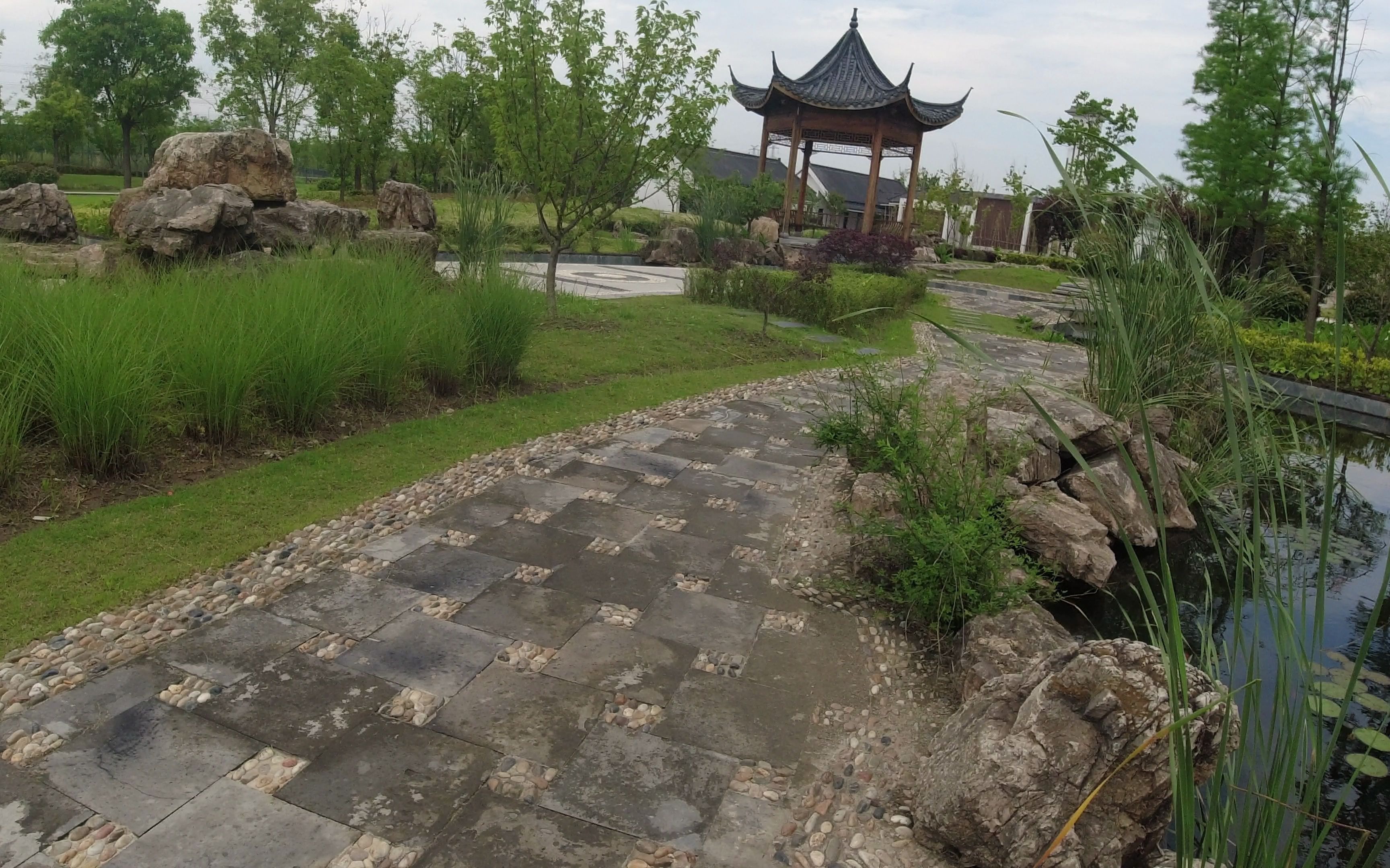 还是南翔水生态公园