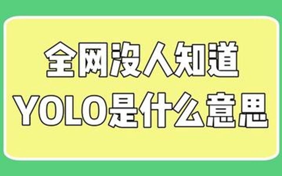 “YOLO”的意思你知道吗?哔哩哔哩bilibili