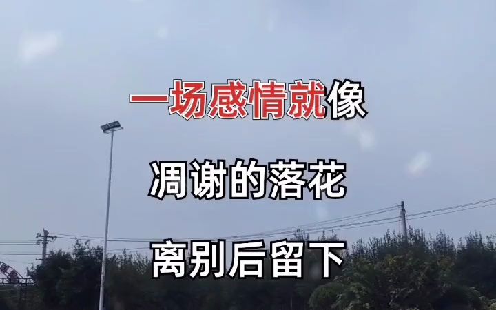 伤心的雪花 经典老歌 完整版哔哩哔哩bilibili