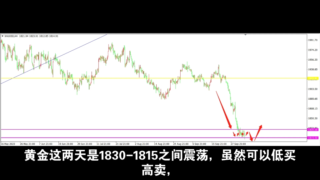 【专注国际黄金交易】最新视频来袭,快来看看吧!哔哩哔哩bilibili