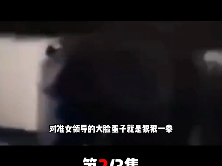 女领导猛扇男员工2耳光,叫嚣这就是我的方法,反被 #真实事件 #社会百态 #这是一个悲伤的故事 @热点哔哩哔哩bilibili