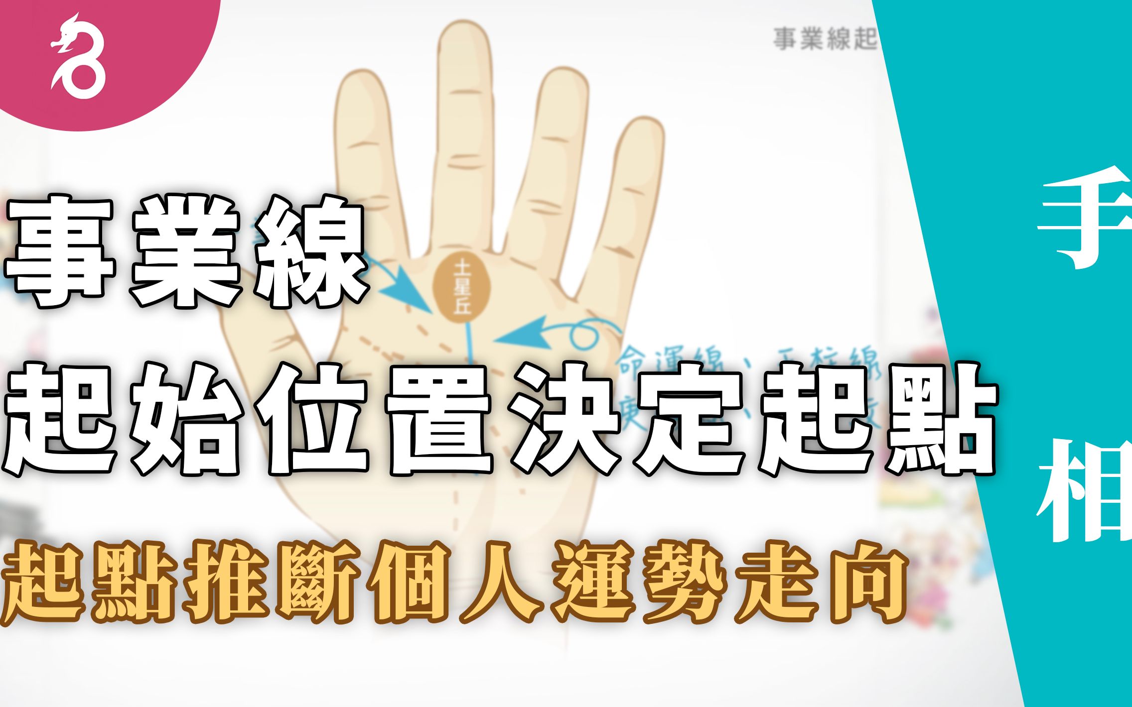 【手相】掌纹23事业线起点推断个人运势走向《好名久久:事业线(一)  起始位置决定起点》By 燊谷制作哔哩哔哩bilibili