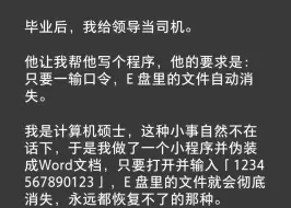 毕业后，我给领导当司机。他让我帮他写个程序，他的要求是：只要一输口令，E 盘里的文件自动消失。我是计算机硕士，这种小事自然不在话下，于是我做了一个小程序……