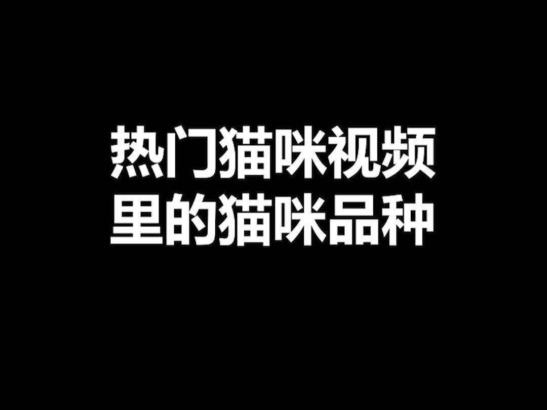 宠物冷知识:网上的热门猫咪都是什么品种,狸花英短虽然多,但混血品种也真的好看!哔哩哔哩bilibili