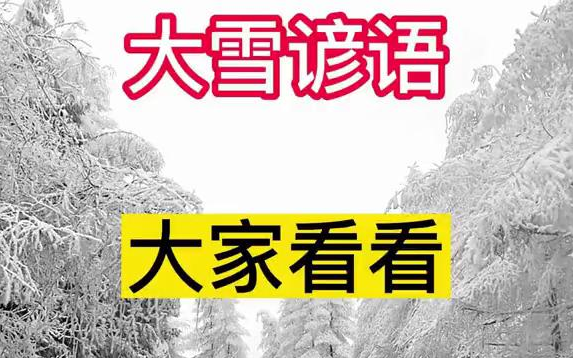 【新农村】141今天12月7号,是大雪节气,大家看看准不准?哔哩哔哩bilibili