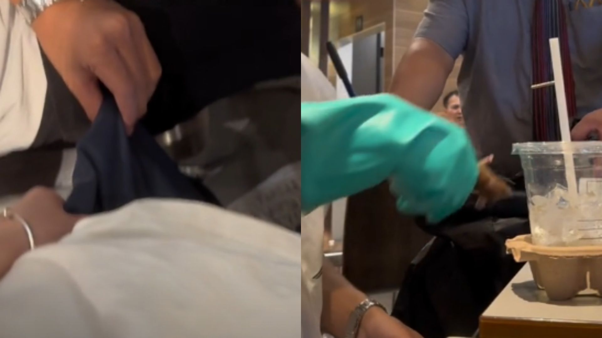 广东女生在麦当劳就餐,遭老鼠爬进裤子里,麦当劳回应