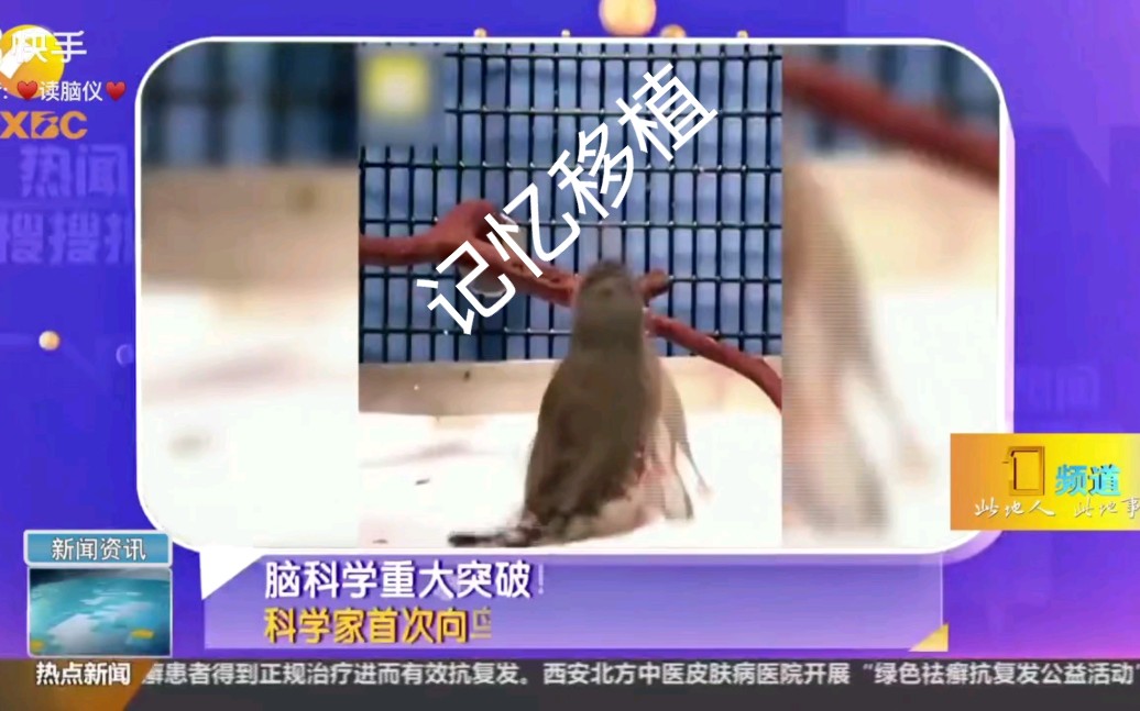 记忆移植哔哩哔哩bilibili