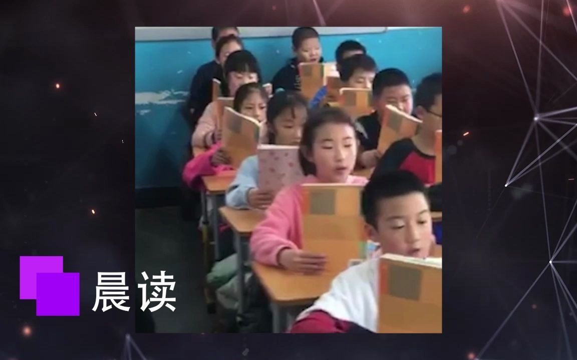 沈阳苏家屯区牡丹街小学哔哩哔哩bilibili