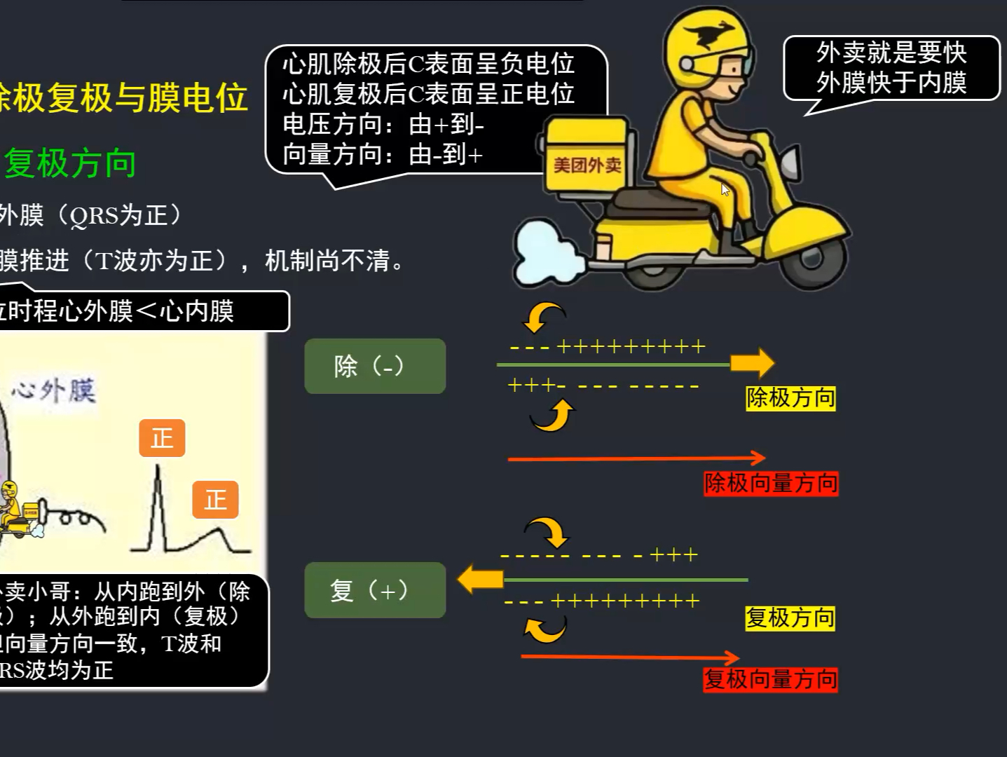 医考帮速记内科学之心电图(2)哔哩哔哩bilibili