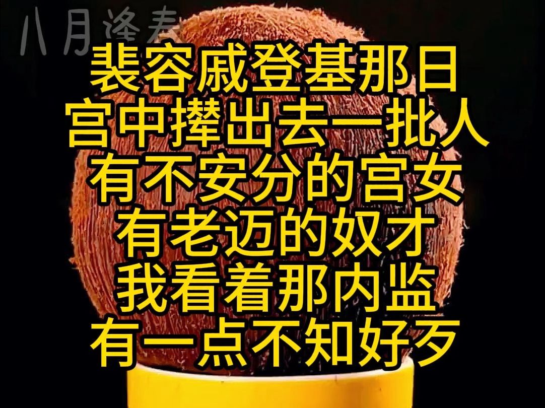 裴容戚登基那日,宫中撵出去一批人,有不安分的宫女,有老迈的奴才,我看着那内监,有一点不知好歹哔哩哔哩bilibili