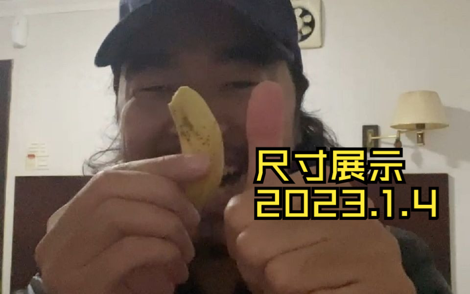 峰哥亡命天涯20230104办理签证哔哩哔哩bilibili