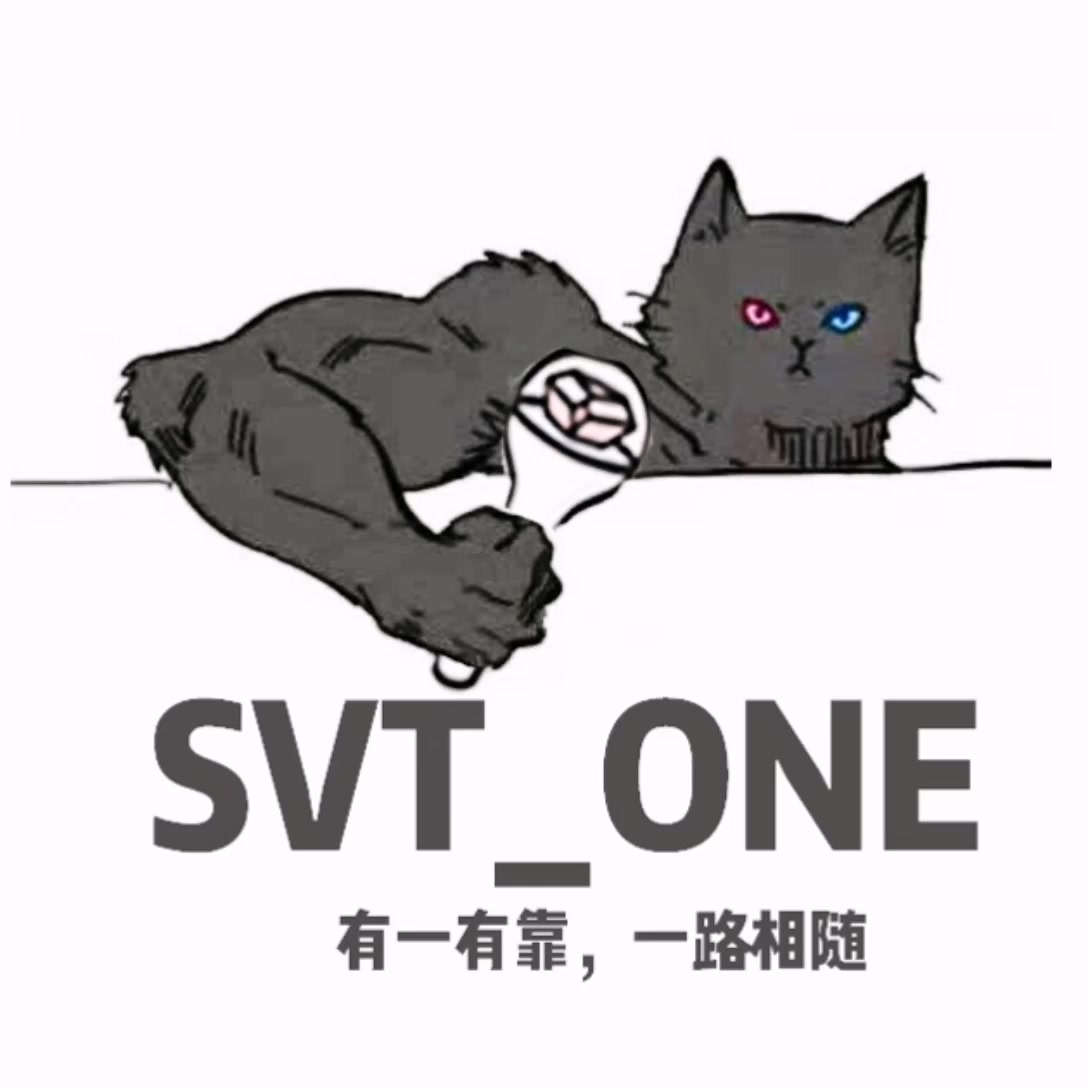 【SVTZERⷰ】SEVENTEENO•NE站 开关站献礼音源流出 零站哔哩哔哩bilibili