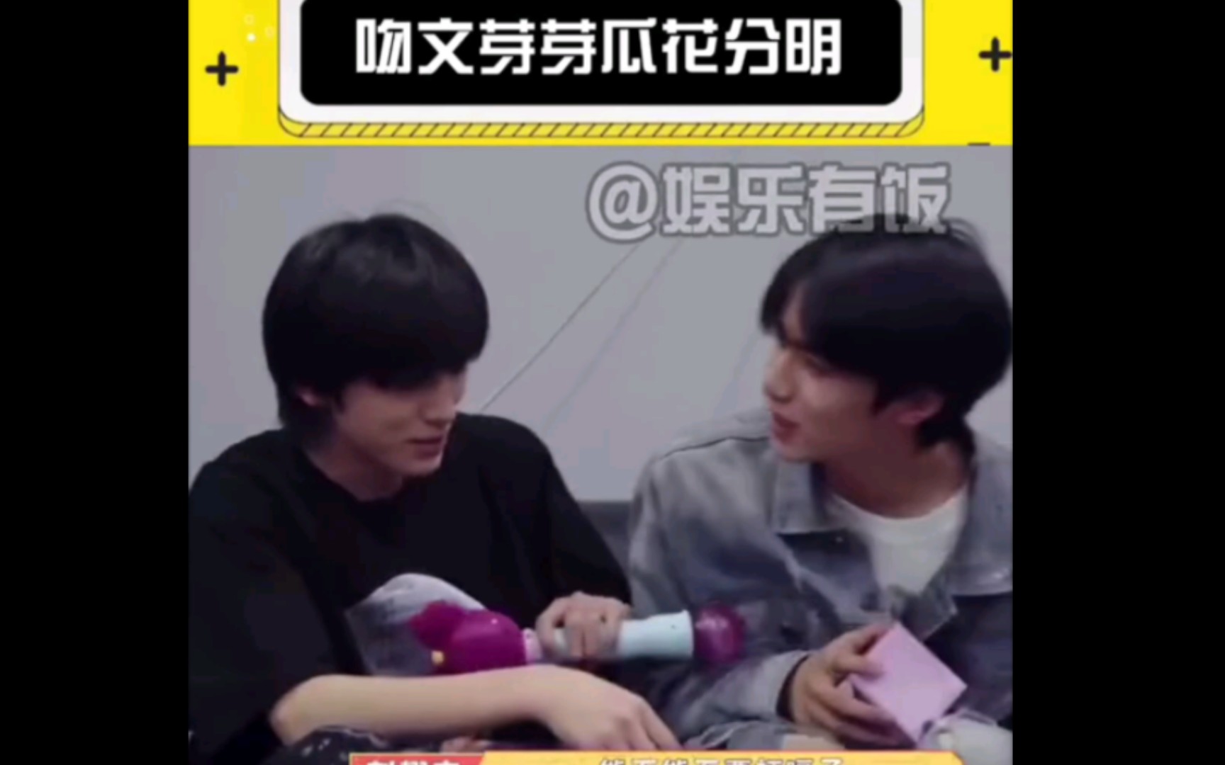 吻吻和芽芽瓜瓜分明