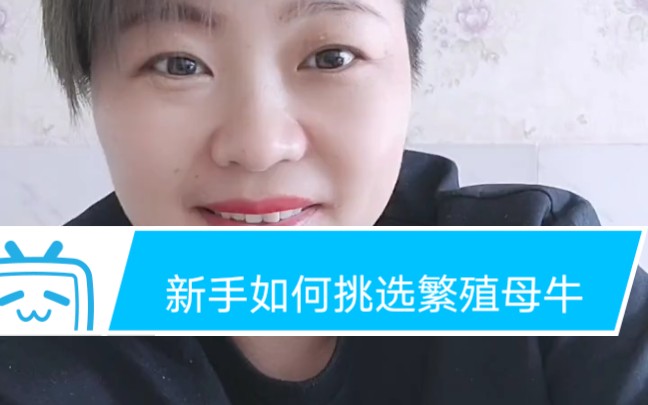 好多人想回乡创业养牛,冯丽陪您一起学习养牛知识!哔哩哔哩bilibili