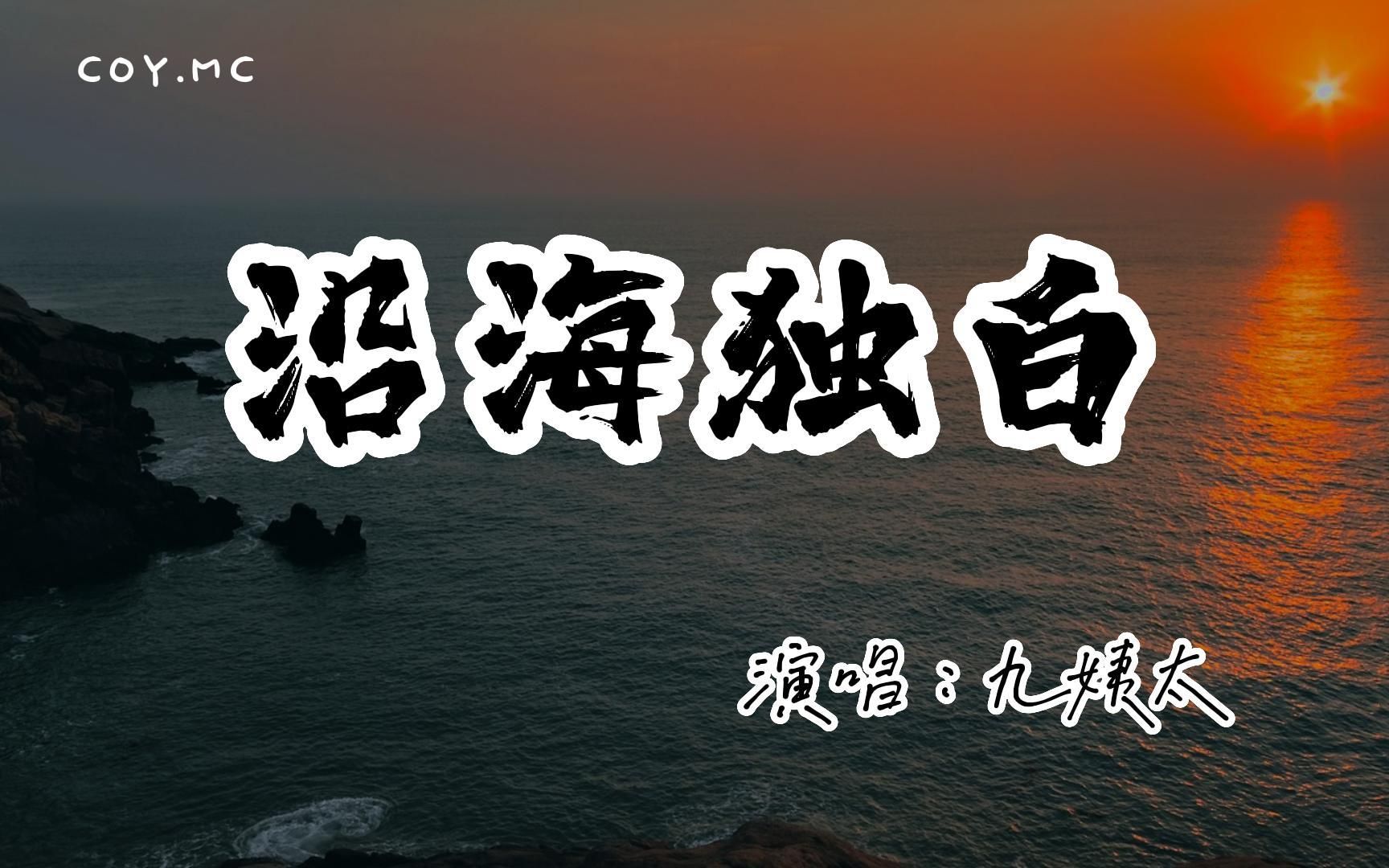 九姨太  沿海独白『等沿途 晚风的独白 飘向千里外』(动态歌词/Lyrics Video/4k)哔哩哔哩bilibili