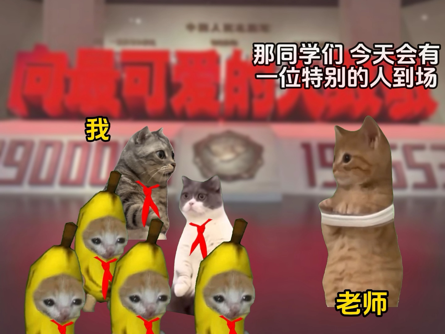 向英雄致敬!#猫meme小剧场#抗美援朝#英雄事迹哔哩哔哩bilibili