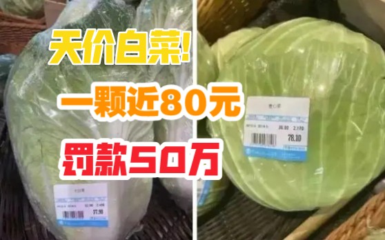 天价白菜!单棵白菜售价近80元?市场监管:顶格罚款50万哔哩哔哩bilibili