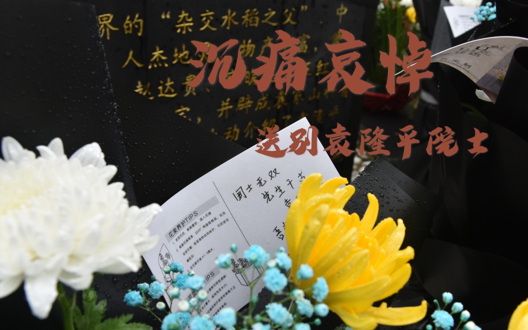 袁隆平家乡江西德安举行悼念活动送别袁老,全国各地群众前来送别