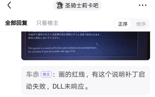 如果圣骑士莉卡汉化版不显示中文哔哩哔哩bilibili