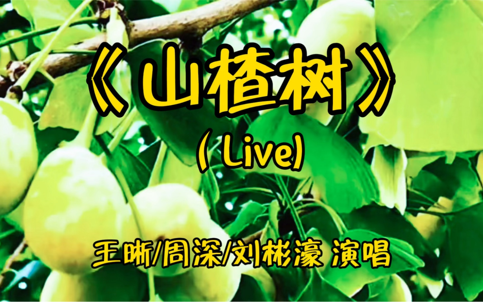 王晰/周深/刘彬濠翻唱《山楂树》三人的歌声相互缠绕交织,和谐融洽