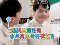 什么？2024居然还有小凡高未公开花絮？！