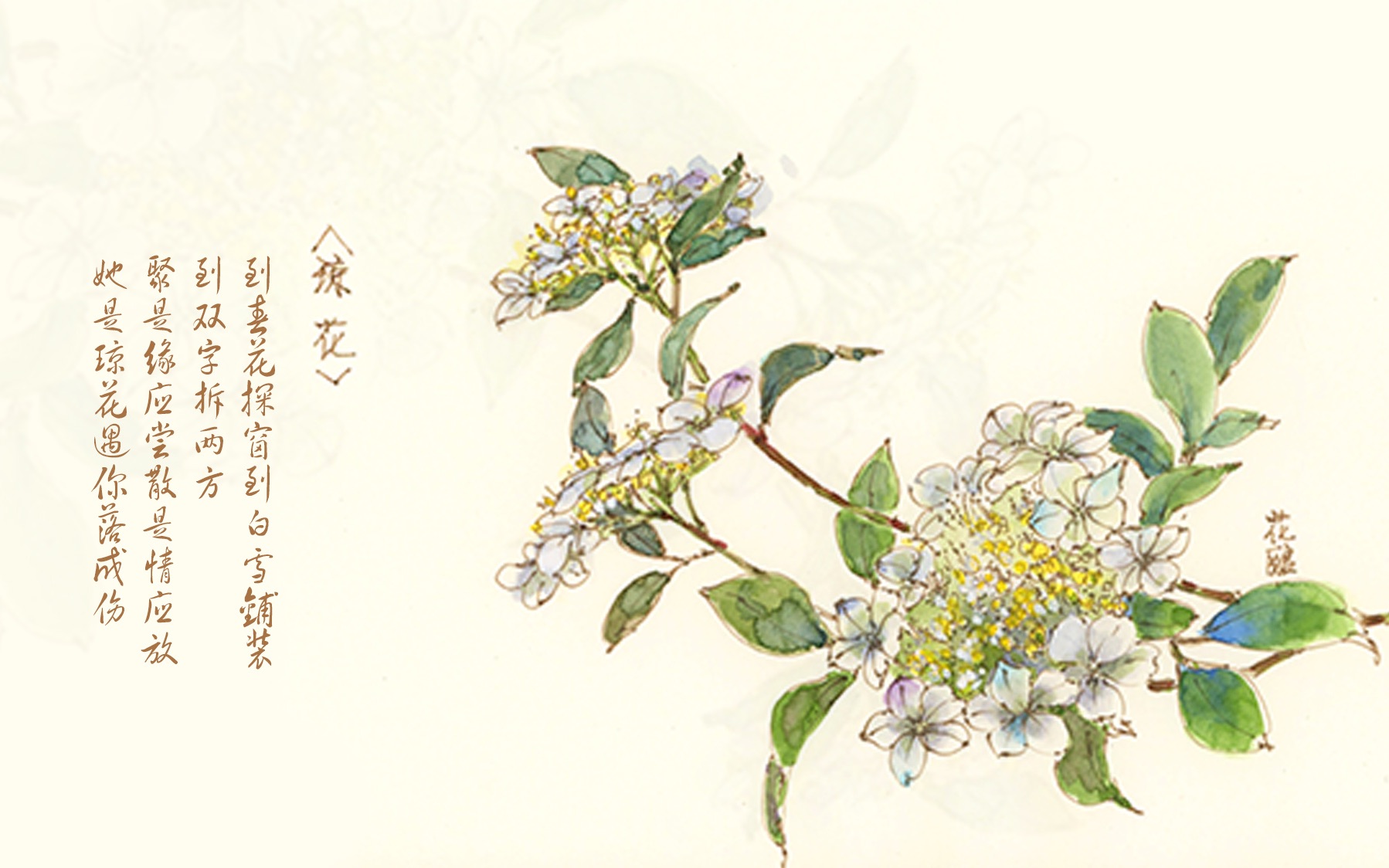 钢笔淡彩琼花——花酿幸福绘画教程