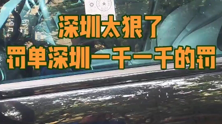 深圳太狠了 别的城市罚单一两百,深圳一千一千的罚?哔哩哔哩bilibili