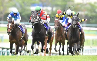 天皇赏春 搜索结果 哔哩哔哩 Bilibili