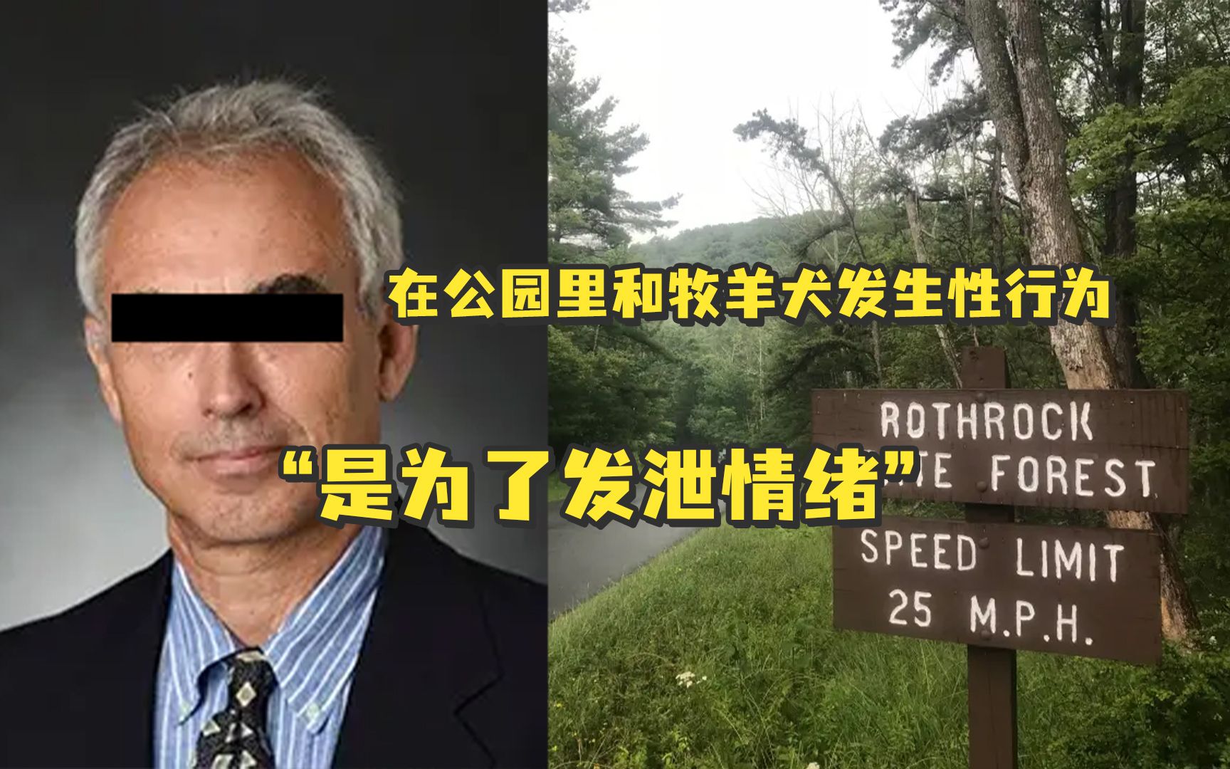 美国一64岁大学教授在公园里和牧羊犬发生性行为,他承认这样做是为了“发泄情绪”哔哩哔哩bilibili