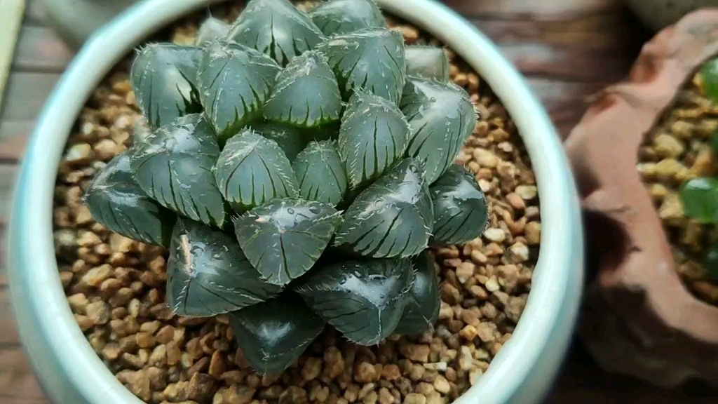 三种玉露分享,蓝镜,冰灯(不知道什么冰灯),紫水晶.