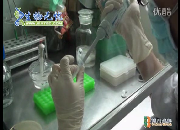 [图]分子生物学实验技术（附课件）