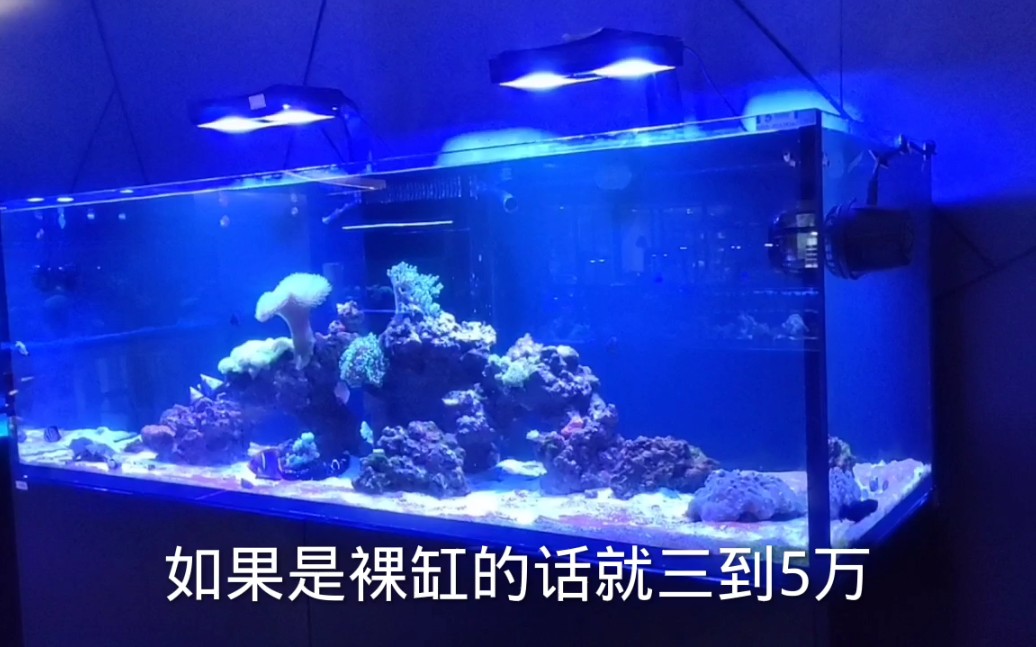 深圳最大一家水族馆,了解这边水草、海缸和鱼缸设备价格怎么样哔哩哔哩bilibili