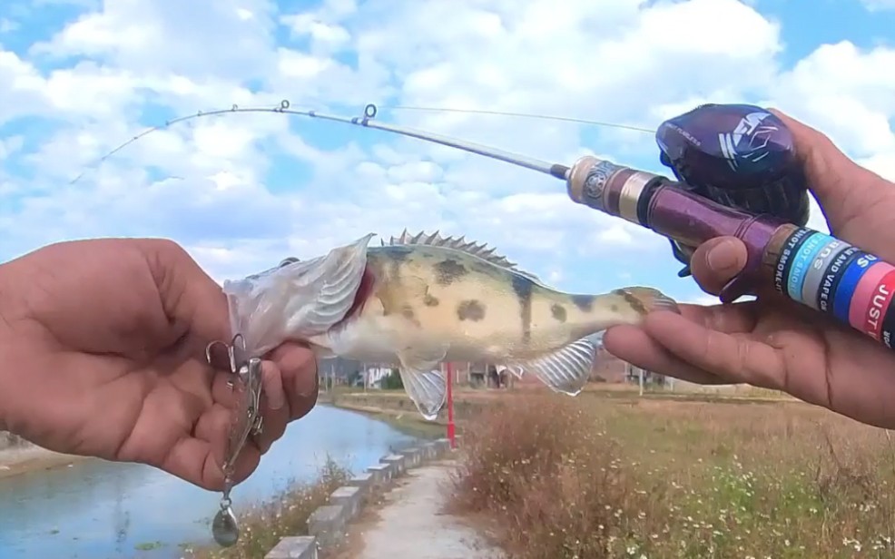 路亚很简单,走着走着就中鱼了.