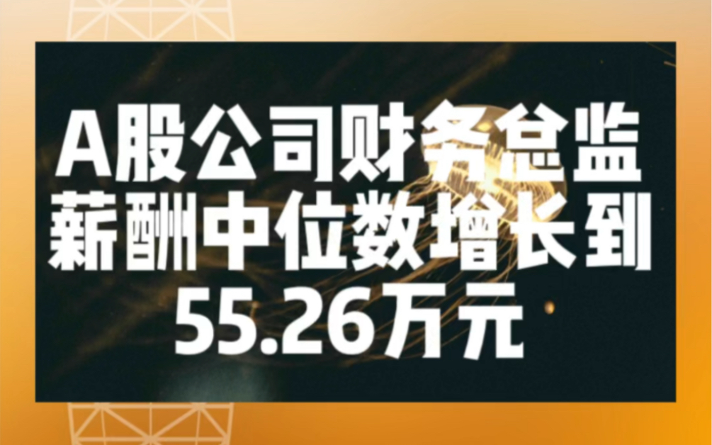 A股公司财务总监薪酬中位数从10.84万元增长到55.26万元哔哩哔哩bilibili