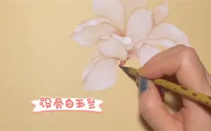 Tải video: 没骨玉兰花，花瓣技法