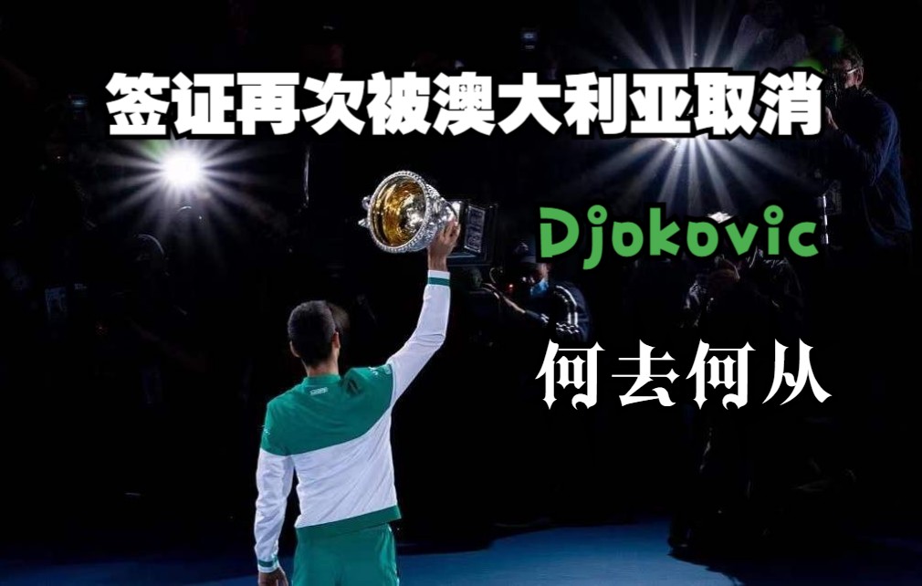 【德约科维奇】签证再次被澳大利亚取消|Novak Djokovic哔哩哔哩bilibili