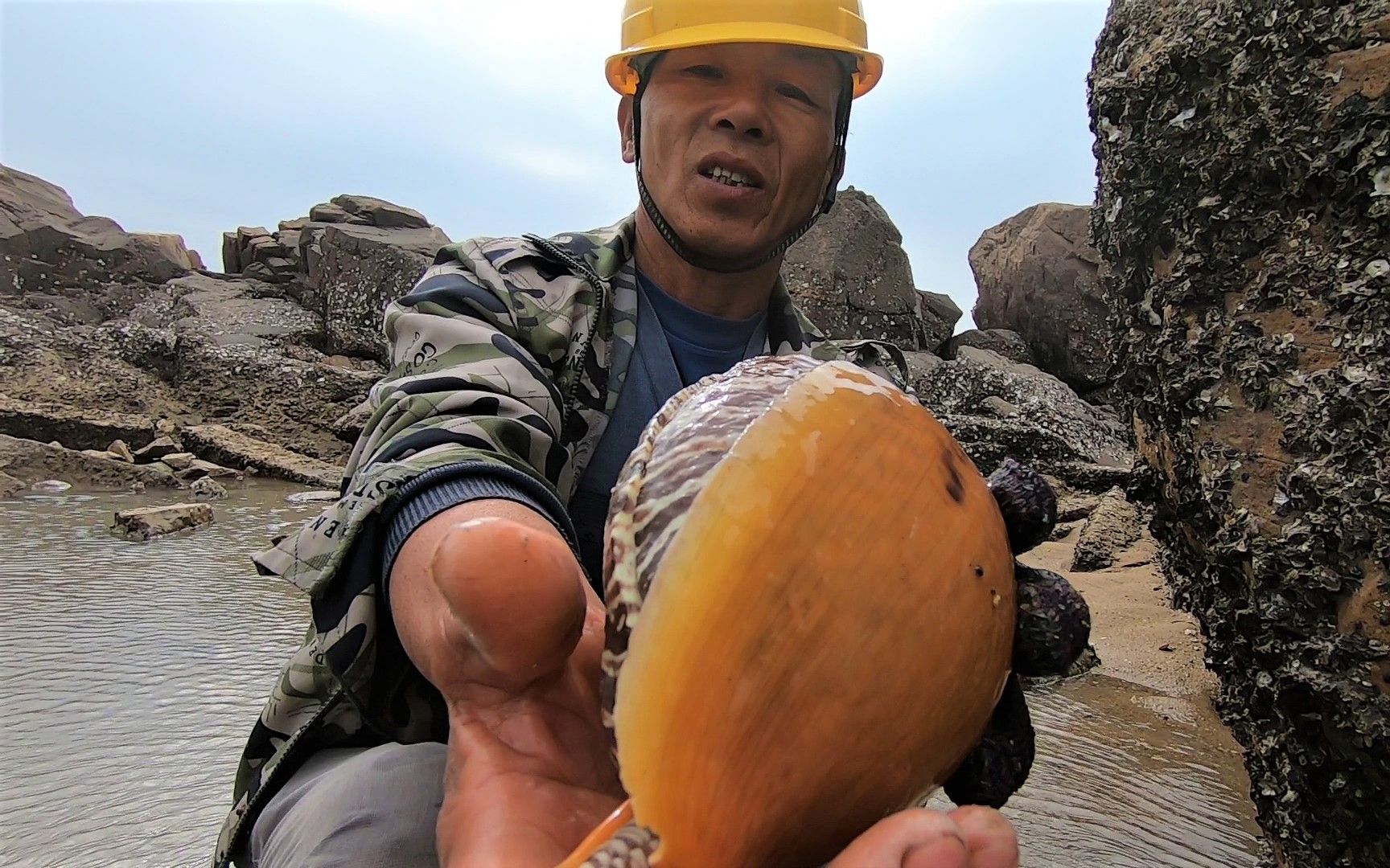 来叔翻山越岭到荒岛赶海,发现生长近十年的大货,一个就有几斤重