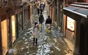 Скачать видео: 带大家看看真正的 水城威尼斯，这样的场景不是你想看就能看到的，据说能看到的人运气都不会太差