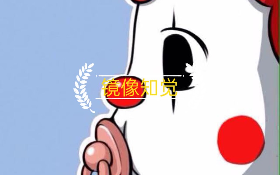 镜像知觉(镜像理论)哔哩哔哩bilibili