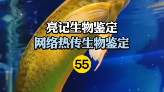 网络热传生物鉴定55